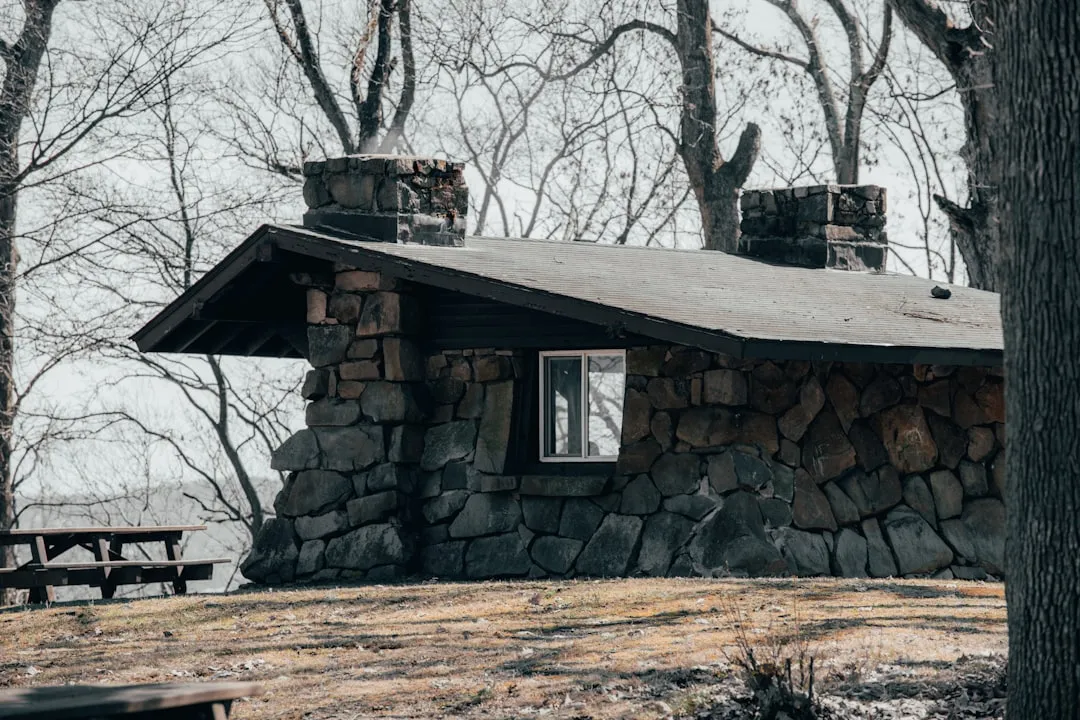 brown wooden house near bare trees during daytime | Photo by Y M on Unsplash